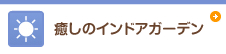 癒しのインドアガーデン